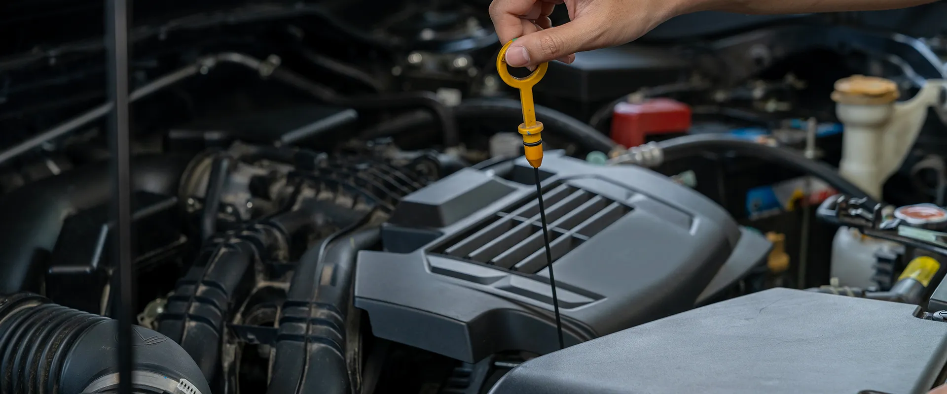 Oil Change near Raleigh, NC